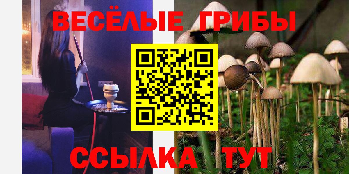 Галлюциногенные грибы мицелий Фрязино